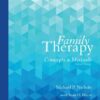Family Therapy: Concepts and Methods 11th Edition eBook