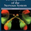 Development of the Nervous System eBook
