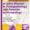 Identification and interpretation of joint disease in paleopathology and forensic anthropology eBook