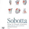 Sobotta – Tables of Muscles, Joints and Nerves eBook
