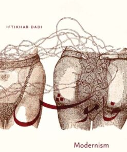 Modernism and the Art of Muslim South Asia (Islamic Civilization & Muslim Networks) eBook