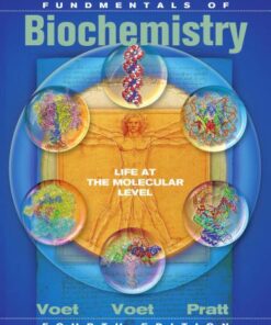 Fundamentals of Biochemistry: Life at the Molecular Level eBook