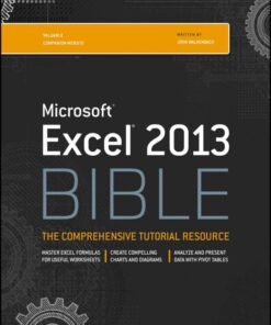 Excel 2013 bible eBook