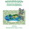 Chlorophylls and Bacteriochlorophylls: Biochemistry, Biophysics, Functions and Applications eBook