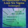 Quality Management for Organizations Using Lean Six Sigma Techniques eBook