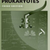 Physiology and Biochemistry of Prokaryotes (4th Edition) eBook