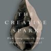 The Creative Spark: How Imagination Made Humans Exceptional eBook