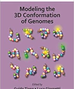 Modeling the 3D Conformation of Genomes eBook