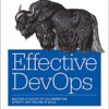 Effective DevOps: Building a Culture of Collaboration, Affinity, and Tooling at Scale eBook