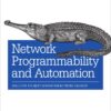 Network Programmability and Automation: Skills for the Next-Generation Network Engineer eBook