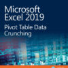 Microsoft Excel 2019 Pivot Table Data Crunching eBook