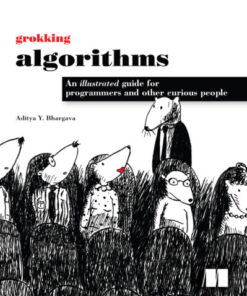 Grokking Algorithms: An illustrated guide for programmers and other curious people eBook