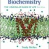 Biochemistry. the molecular basis of life eBook
