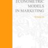 Econometric Models in Marketing (Advances in Econometrics) eBook