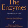 The Enzymes, Vol VI: Carboxylation and Decarboxylation, (Nonoxidative) Isomerization, 3rd Edition eBook