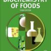 Biochemistry of foods eBook