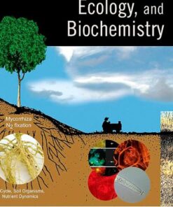 Soil Microbiology, Ecology and Biochemistry, Third Edition eBook