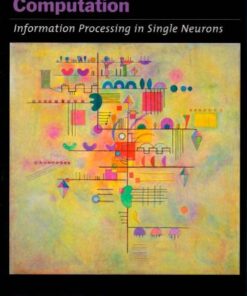 Biophysics of Computation: Information Processing in Single Neurons eBook