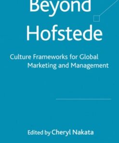 Beyond Hofstede: Culture Frameworks for Global Marketing and Management eBook