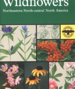 Clinical biochemistry : metabolic and clinical aspects eBook