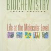 Fundamentals of Biochemistry: Life at the Molecular Level (Third Edition) eBook