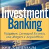 Investment Banking: Valuation, Leveraged Buyouts, and Mergers and Acquisitions eBook