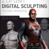 ZBrush Digital Sculpting Human Anatomy eBook