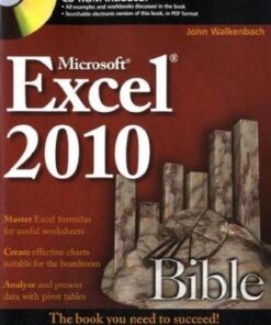 Excel 2010 Bible eBook