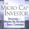 The Micro Cap Investor: Strategies for Making Big Returns in Small Companies eBook
