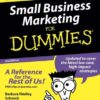 Small Business Marketing for Dummies eBook