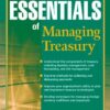 Essentials of Managing Treasury (Essentials Series) eBook