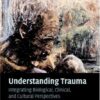 Understanding Trauma: Integrating Biological, Clinical, and Cultural Perspectives eBook