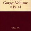 Olduvai Gorge: Volume 2 eBook
