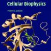 Molecular and Cellular Biophysics eBook