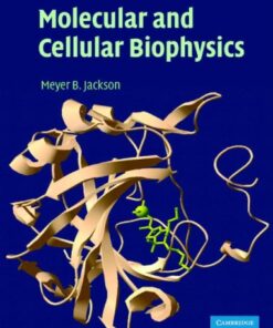 Molecular and Cellular Biophysics eBook