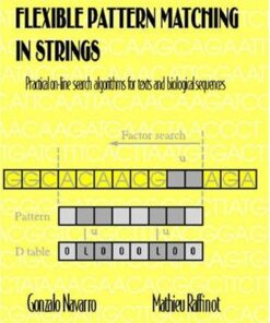 Flexible Pattern Matching in Strings: Practical On-line Search Algorithms for Texts and Biological Sequences eBook