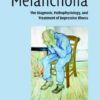 Melancholia: The Diagnosis, Pathophysiology and Treatment of Depressive Illness eBook