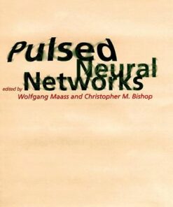 Pulsed Neural Networks eBook