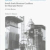Small-Scale Biomass Gasifiers for Heat and Power: A Global Review (World Bank Technical Paper) eBook