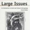 Small Places, Large Issues: An Introduction to Social and Cultural Anthropology eBook