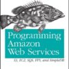 Programming Amazon Web Services: S3, EC2, SQS, FPS, and SimpleDB eBook
