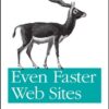 Even faster web sites eBook