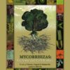 Mycorrhizas: Anatomy and Cell Biology eBook