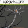 Mind in Life: Biology, Phenomenology, and the Sciences of Mind eBook