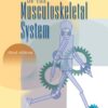 Basic Biomechanics of the Musculoskeletal System 3rd Edition eBook