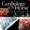 Cardiology of the Horse 2nd edition eBook
