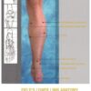 Lower Limb Anatomy, Palpation & Surface Markings eBook