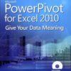 Microsoft PowerPivot for Excel 2010: Give Your Data Meaning eBook