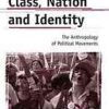Class, nation, and identity : the anthropology of political movements eBook