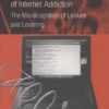 The Multiplicities of Internet Addiction eBook
